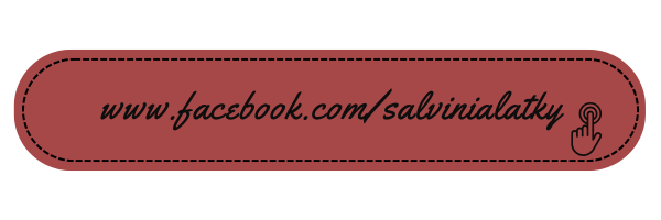 tlačítko fb